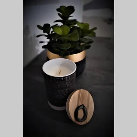 El Viajero For Travellers Apartment